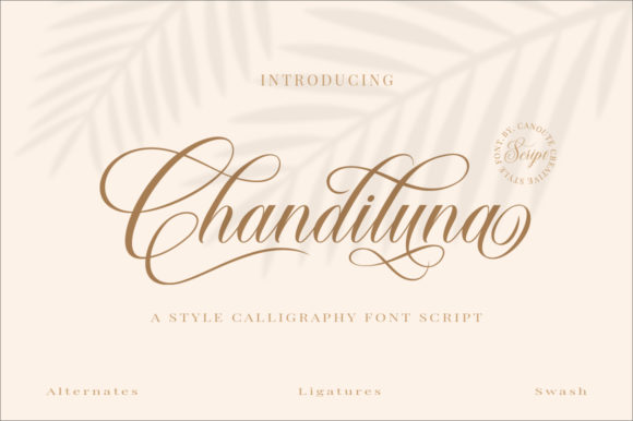 Chandiluna: A Delicate Script Font