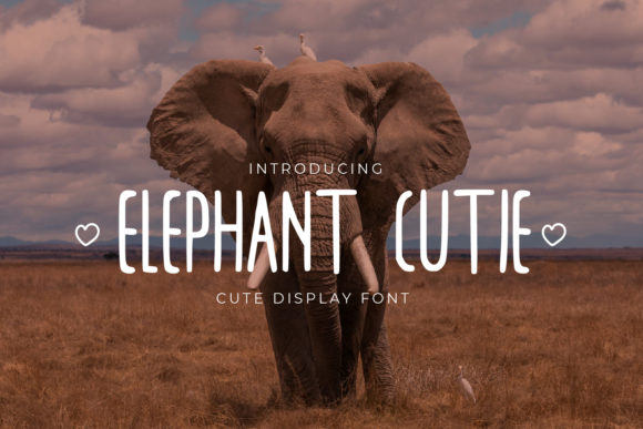 Elephant Cutie Font for Web Design