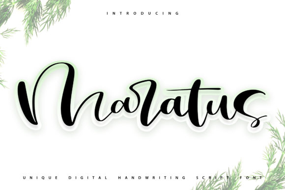 Maratus Handwritten Font