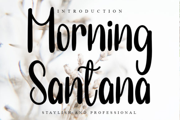 Morning Santana Font for Business Branding