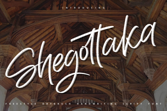 Shegottaka Font for Stylish Design
