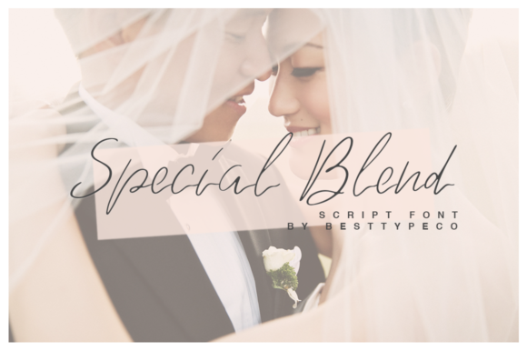 Special Blend Font Review