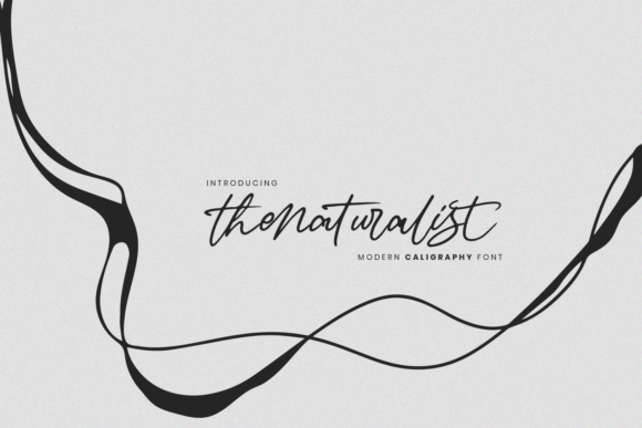 The Naturalist Font for Professional Branding